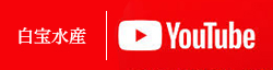 白宝水産YOUTUBE