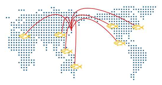 白宝水産の国内外ネットワーク