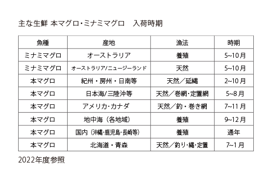 白宝水産の主な生鮮 本マグロ・ミナミマグロ　入荷時期_参照資料